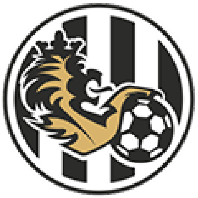 Logo for Hradec Králové