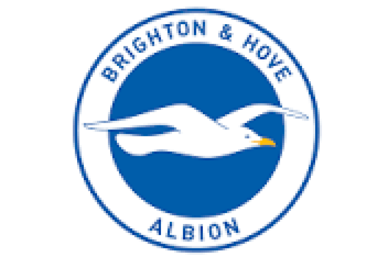 Logo for Brighton